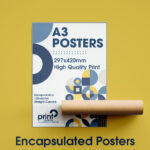 A3 Posters Encapsulated/Laminated - Image 3